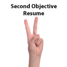 Professional Level – Second Objective Resume